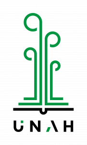 Postgrado UNAH
